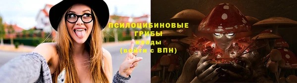 хмурый Армянск