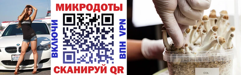 Псилоцибиновые грибы GOLDEN TEACHER  гидра ссылки  Мамоново 